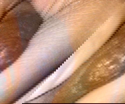 ขออนุญาติสอบถามหน่อยสะค่ะแม่ๆ