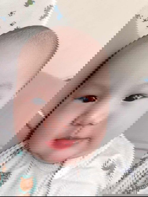 Các m có thực đơn ăn dặm bé 5m ko cho e xin với ạ