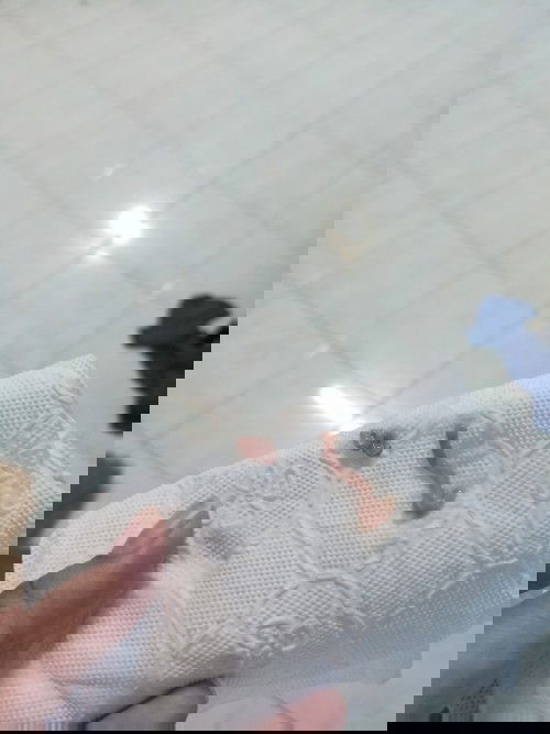 ขออนุญาตสอบถามนะคะ แบบนี้เรียกว่ามูกเลือดหรือป่าวคะ