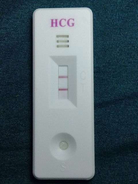 Perjalanan tahun 2021