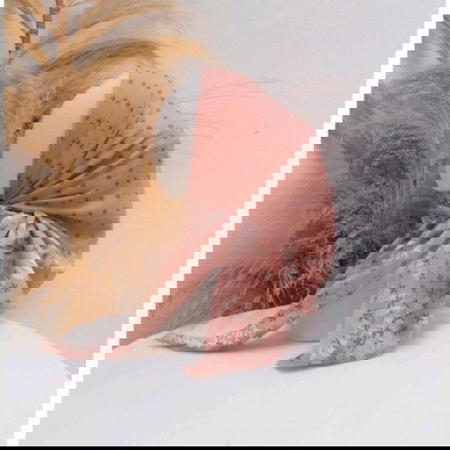 Numpang Buka Lapak ya bun