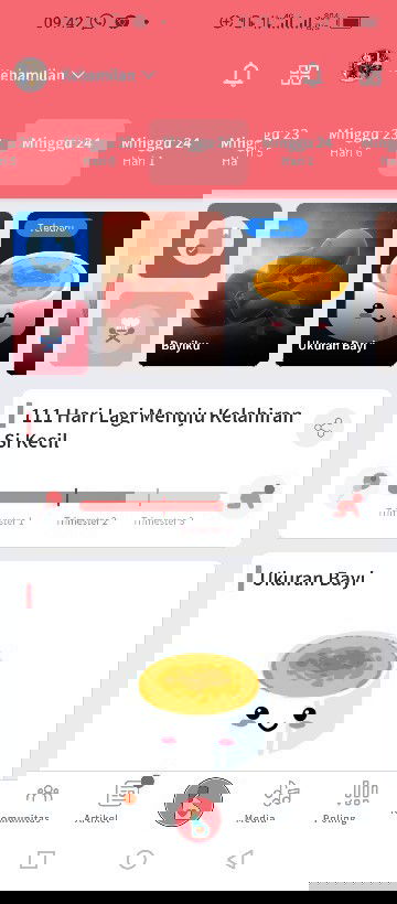 Seputar masa kehamilan