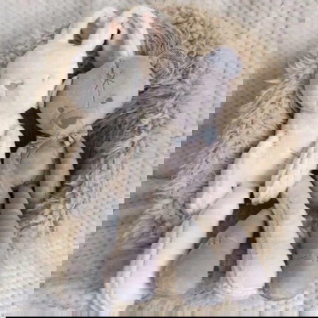 trẻ 1 tuổi ngủ bao nhiêu là đủ?