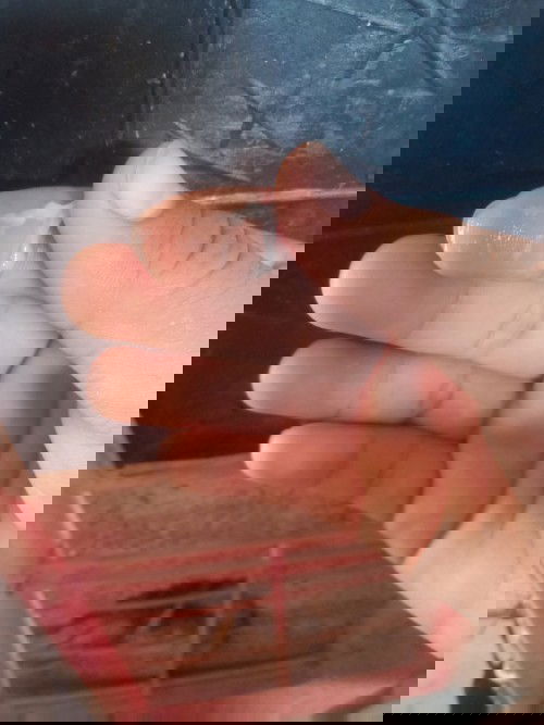 ทีมมกราคม65