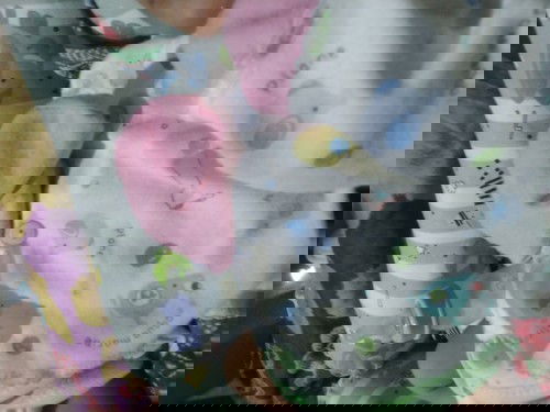 BB lahir 3,1 panjang 48