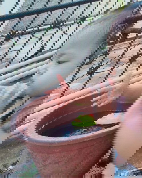 Kosa kata anak 14 bulan