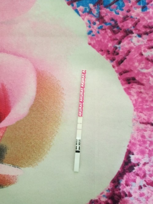 Menstruasi terakhir 28 nov 2021, usia kehamiln sekarang