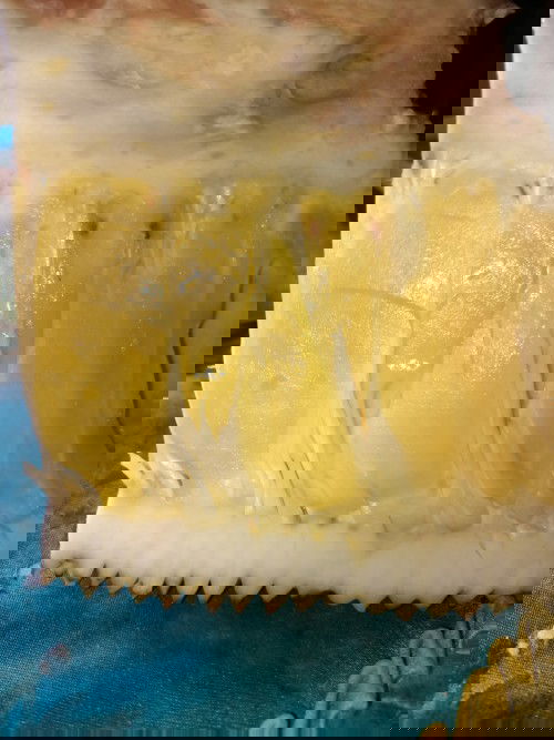 Makanan pasca lahiran