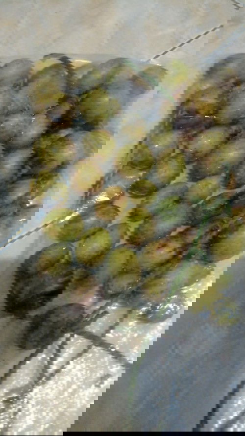 Buah langsat atau kokosan