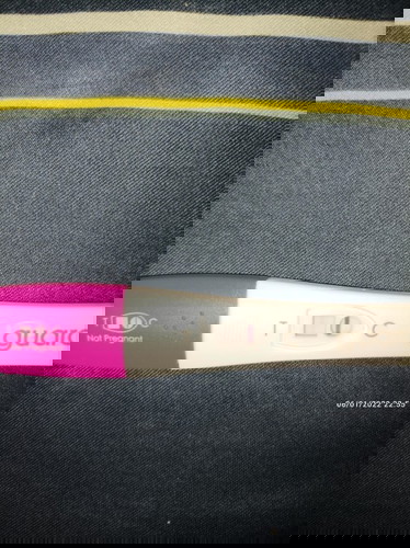 Early Pregnancy Test