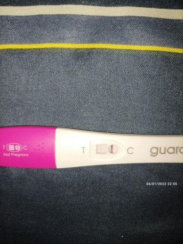 Early Pregnancy Test