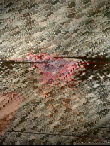 Pendarahan di minggu ke 5 apakah berbahaya.. ??