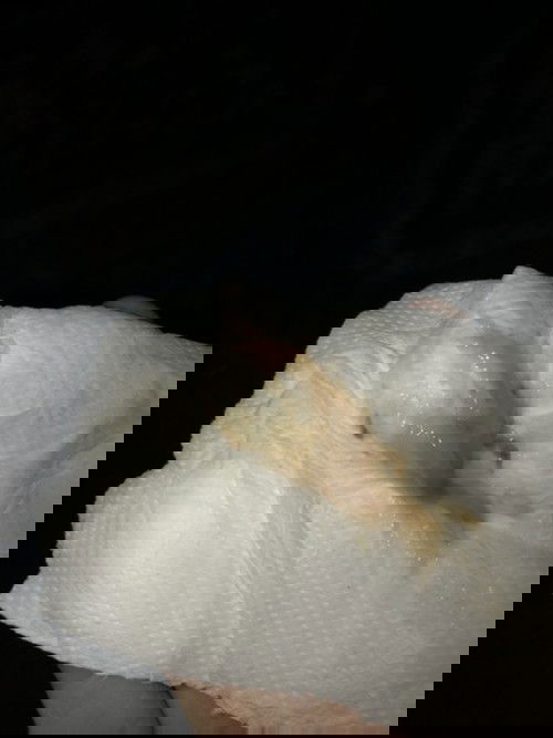 สอบถามผู้มีประสบการณ์หน่อยคะมีมูกออก