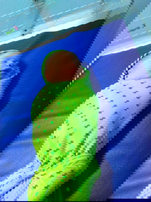 Alhamdulillah lahir juga baby boy saya bunda2☺