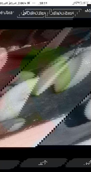 Bun ini jambu apa ya