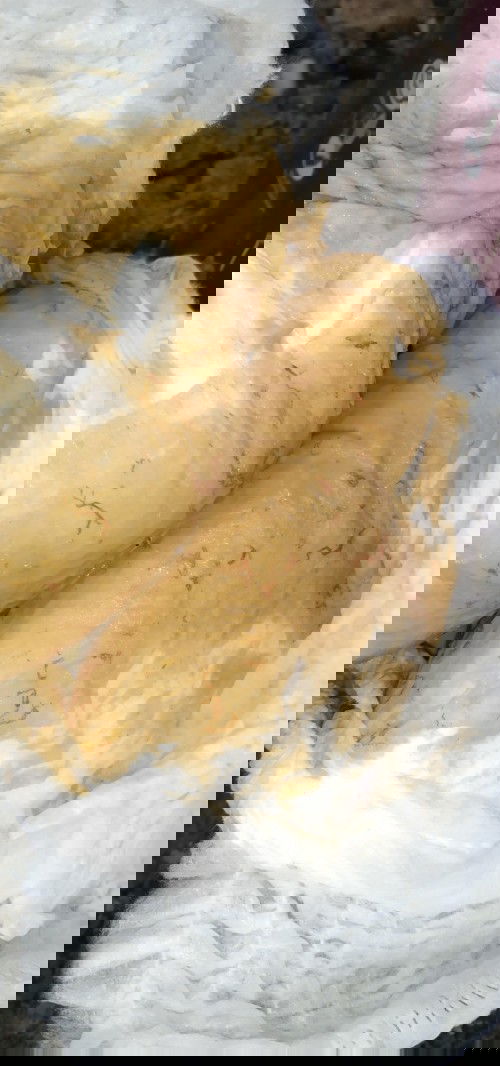 Bab anak cair dan berbau busuk dan ada serat serat merah kalau kentut juga berbau sangat menyengatt