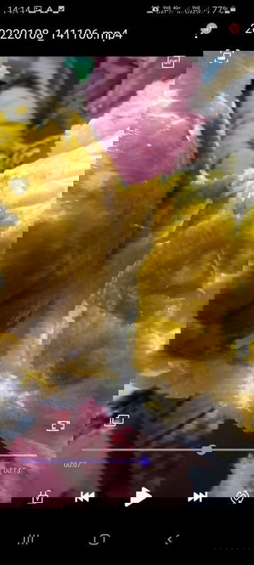 ผิดปกติไม???