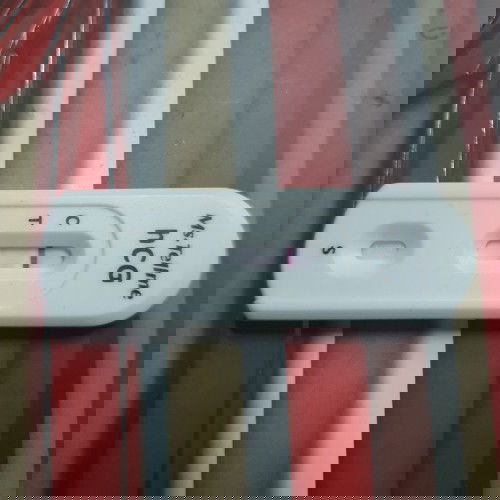Pregnancy test
