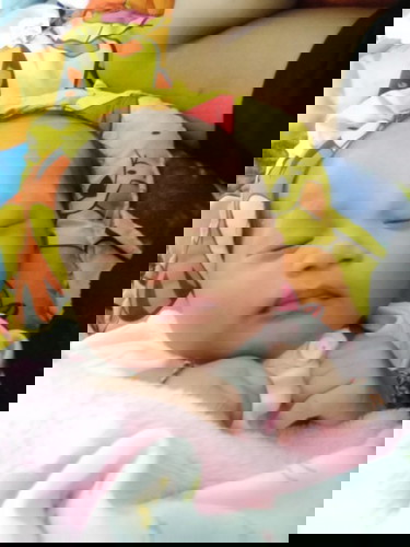 น้องอัลฟา