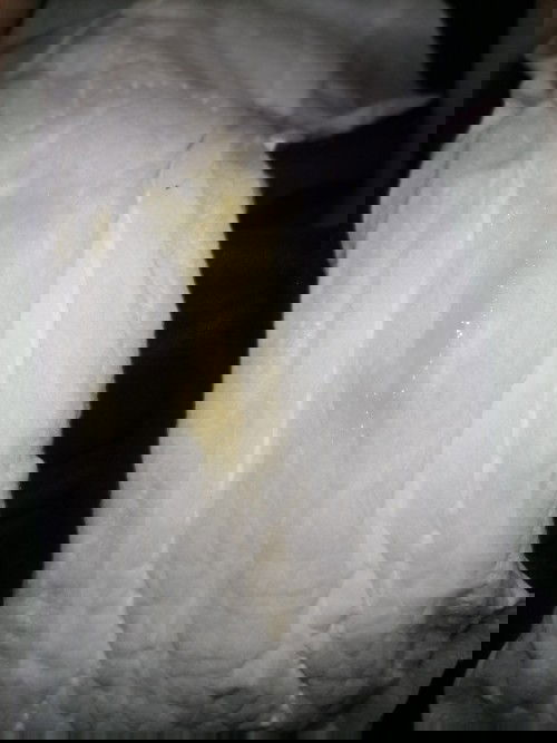 ขอสอบถามแม่ๆทุกคนหน่อยคะ..เราท้องได้39​สัปดาห์​แล้วตอนเช้านี้ไปเข้าห้องน้ำมีตกขาวเหลืองเหนียว​ๆ