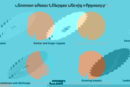 Pregnancy Boobs 😭