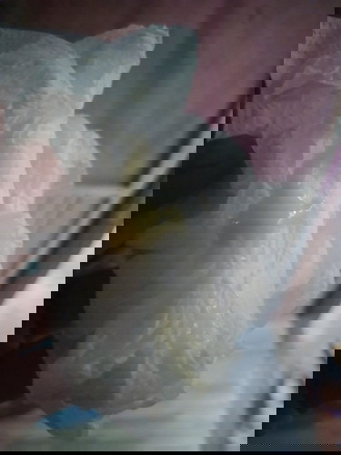 แบบนี้เรียกตกขาวหรือมูกค่ะ