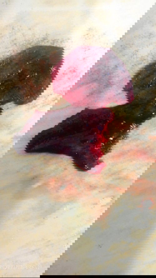 hyee mommiess semuaa 👋🏻