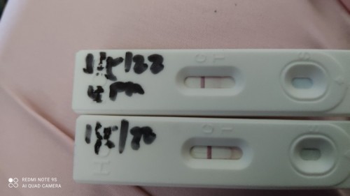 Pregnancy test
