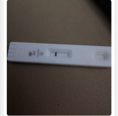 Pregnancy Test