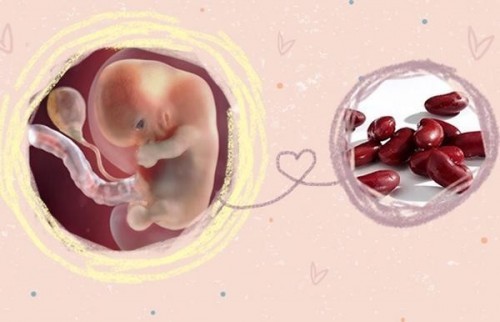 Thai nhi 8 tuần cần bổ sung gì?