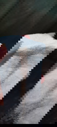 Is it Brown Spotting?