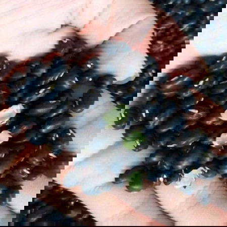 Bầu tháng cuối ăn chè đỗ đen có dc k?