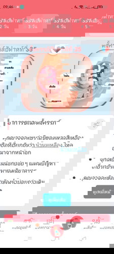 กำหนดคลอด 16 กุมภาพันธ์