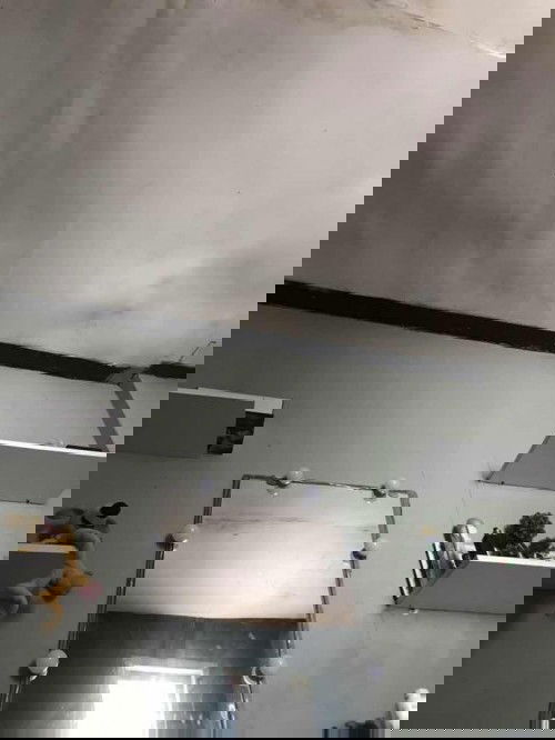 Hpl usg 17 februari 2022