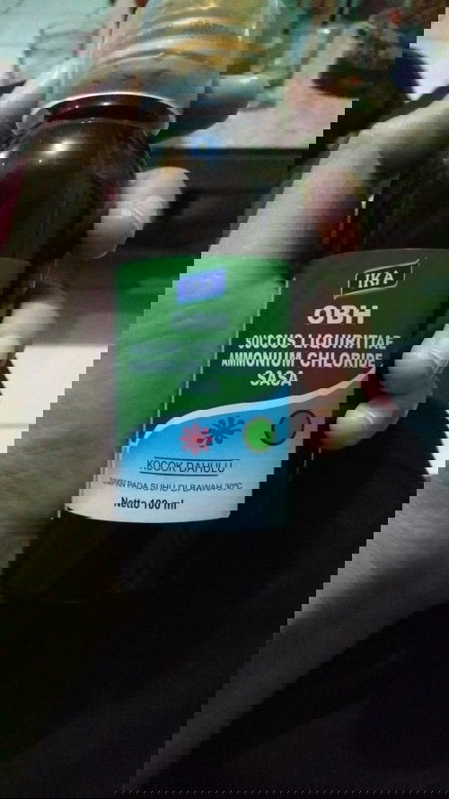 Batuk berdahak dan akhirnya sering muntah di 12w1d