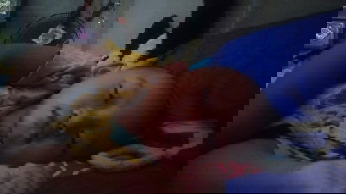 Bayi mandi saat deman