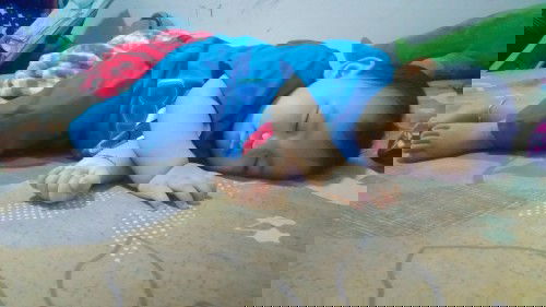 นิยาม คำว่า "ลูกเลี้ยงง่าย"