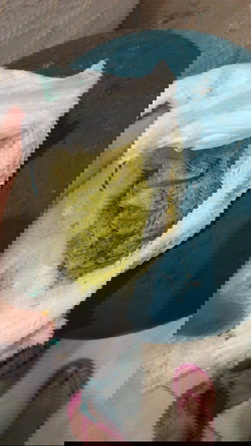 Diare bayiku 6 bulan 23 hari