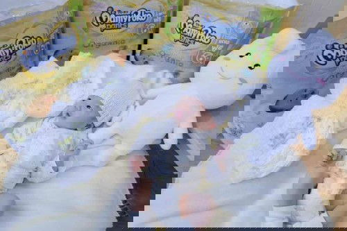 แชร์มุมมองในการเลือกแพมเพิสให้ลูกน้อย