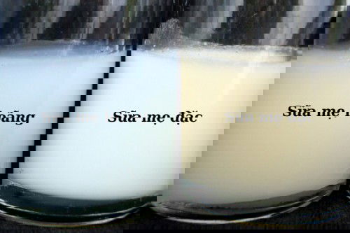 Sữa đầu và sữa cuối