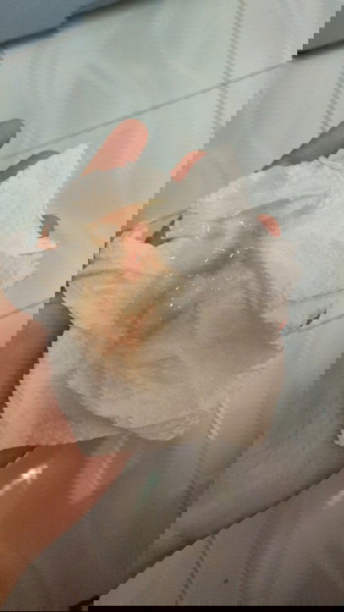 saje nak share perkembangan