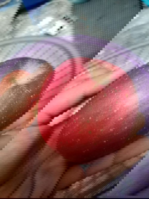 Apple are good for pregnancy