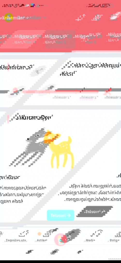 1 hari menjelang HPL