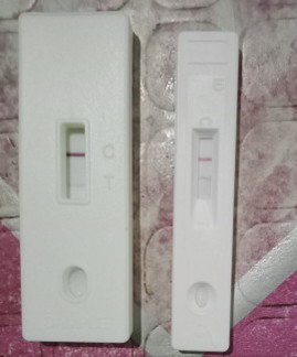 Pregnancy Test