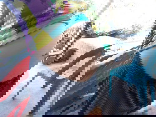 29Week  แล้วค่ะยังไม่ได้ซาวเลยค่ะคุณแม่ทานไหนมองออกไหมคะว่าผญ.รึผช. ขอบคุณล่วงหน้าค่ะ🙏❤️ #คุณแม่มือ