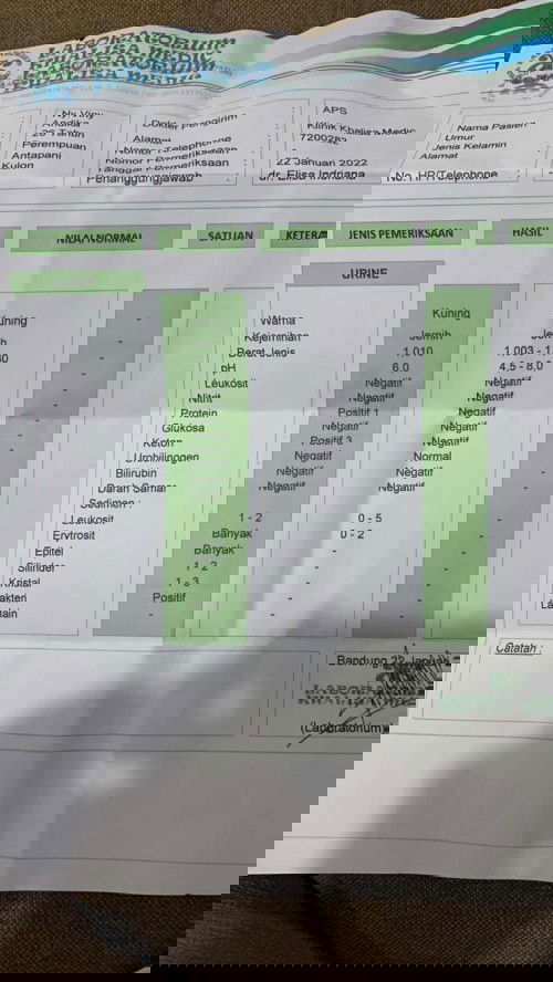 Protein dalam urin positif 1 apa bisa melahirkan normal