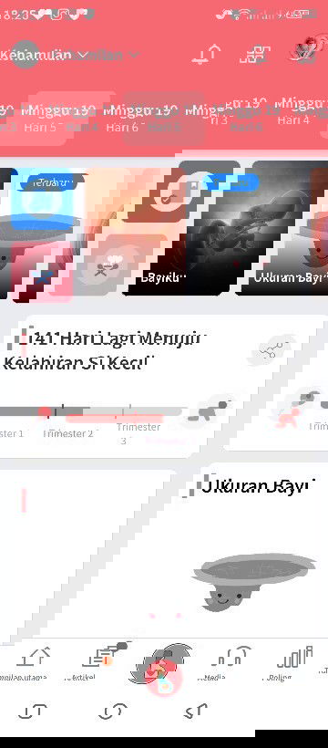 Bayi dalam perut ko gak gerak gerak?