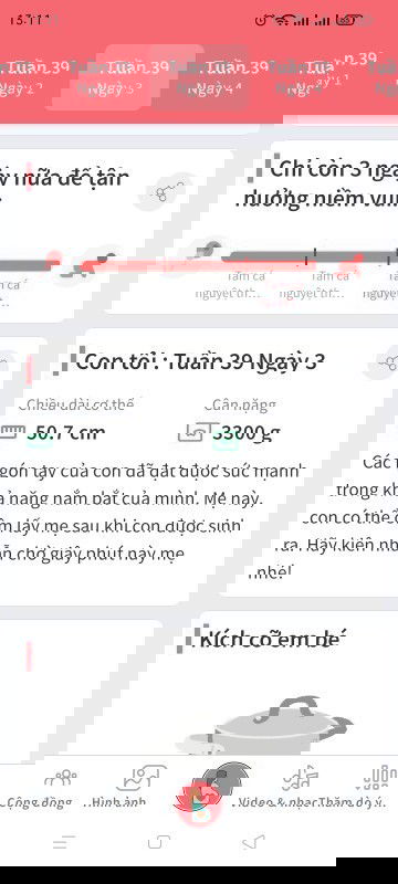 Từng ngày đếm ngược