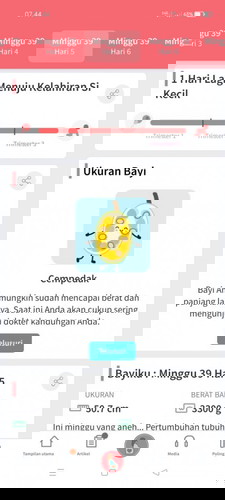 Hpl 27 smpai 29 januari