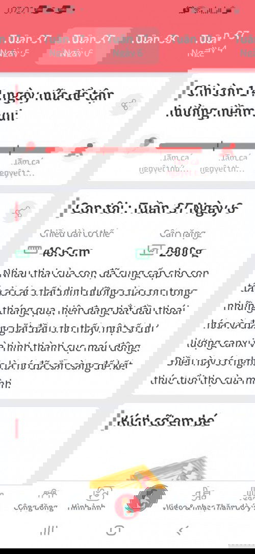 Xin vía đẻ nhanh ❤